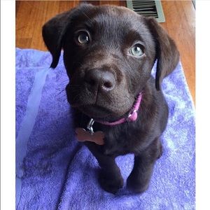 Meet your Posher, Ashley