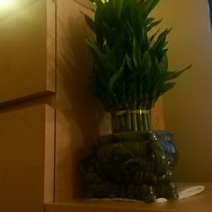 Meet your Posher, Lucja