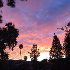 Meet your Posher, Patsy