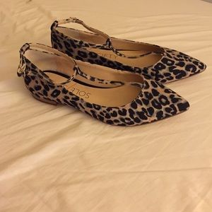 Leopard print Sole Society pointed toe flats