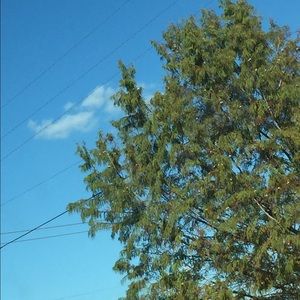 Meet your Posher, Becca