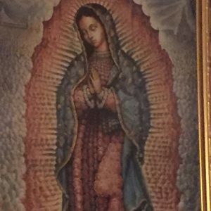 Meet your Posher, Rosa