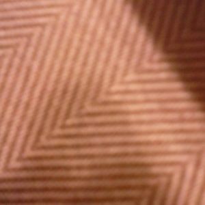 Meet your Posher, Sheena