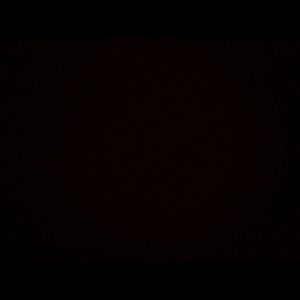 Meet your Posher, Gladys