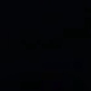 Meet your Posher, Bree