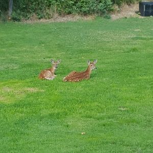 Meet your Posher, Haley