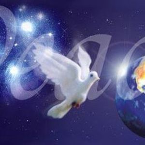 Meet your Posher, Wanda