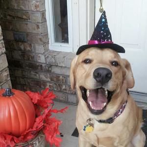 Meet your Posher, Shannon