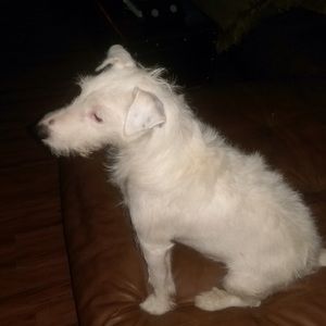 Meet your Posher, Melanie