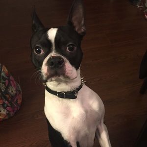 Meet your Posher, Maryam