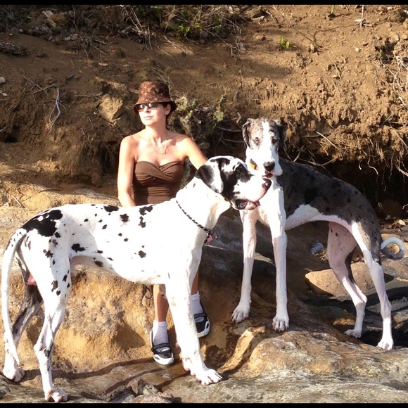 CLOSET CLOSING JUNE 6, 2023 ,PLUS PARADISE HOME ON THE OCEAN FOR SALE IN GRENADA - Picture 15 of 16