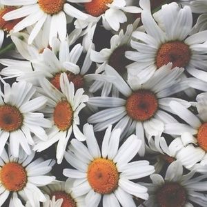 Meet your Posher, Bridget