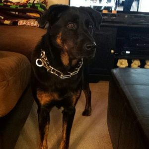 Meet your Posher, Laura