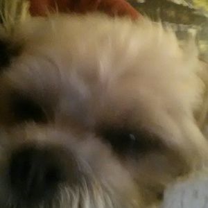 Meet your Posher, Jodi