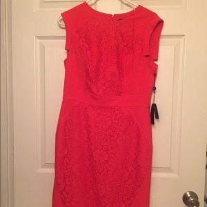 Adrianna Papel Dress