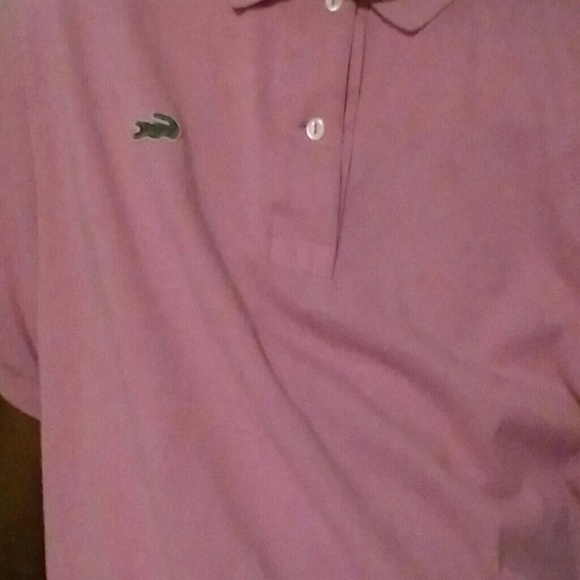 Pink lacoste polo shirt