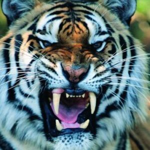 Meet your Posher, Miriam