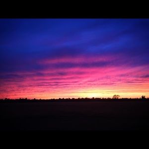 Meet your Posher, Allie