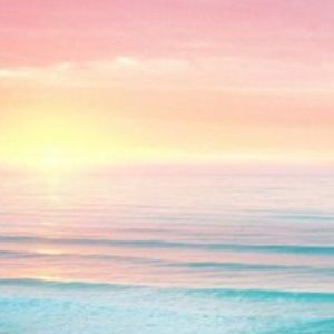 Meet your Posher, Avery