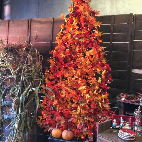 Meet your Posher, Editha - Picture 1 of 1