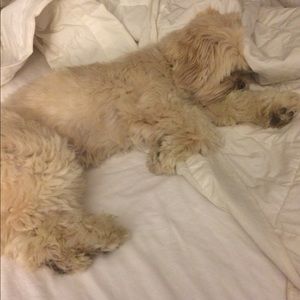 Meet your Posher, Beth