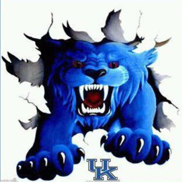 Meet your Posher, Mitzi - Picture 1 of 1