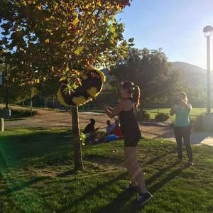 Meet your Posher, Robin