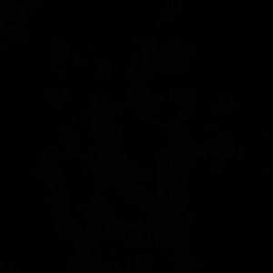 Meet your Posher, Trisha