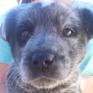 Meet your Posher, Katelin