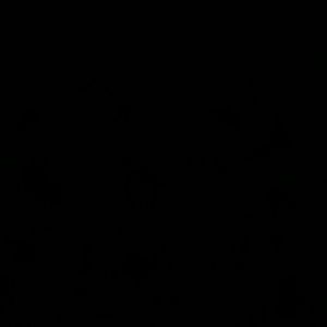 Meet your Posher, Bridgette