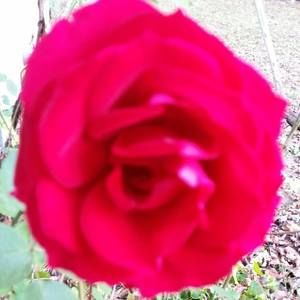 Meet your Posher, Martina