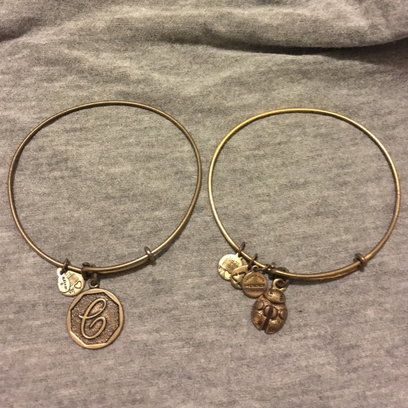 Alex and Ani C and Ladybug