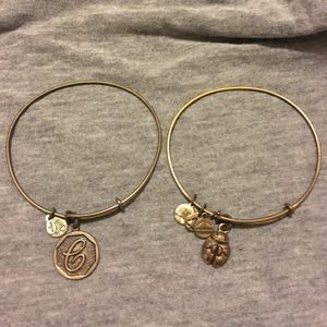 Alex and Ani C and Ladybug