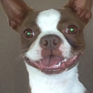 Meet your Posher, Holly