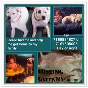 Meet your Posher, Melinda