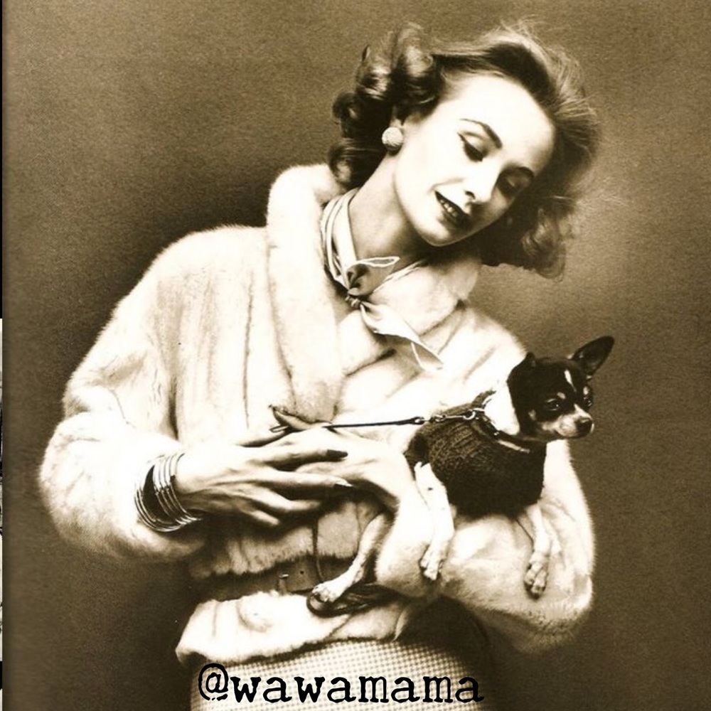 Meet your Posher, Laurel