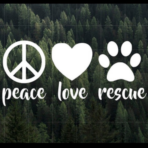 Meet your Posher, Laurel - Picture 2 of 5