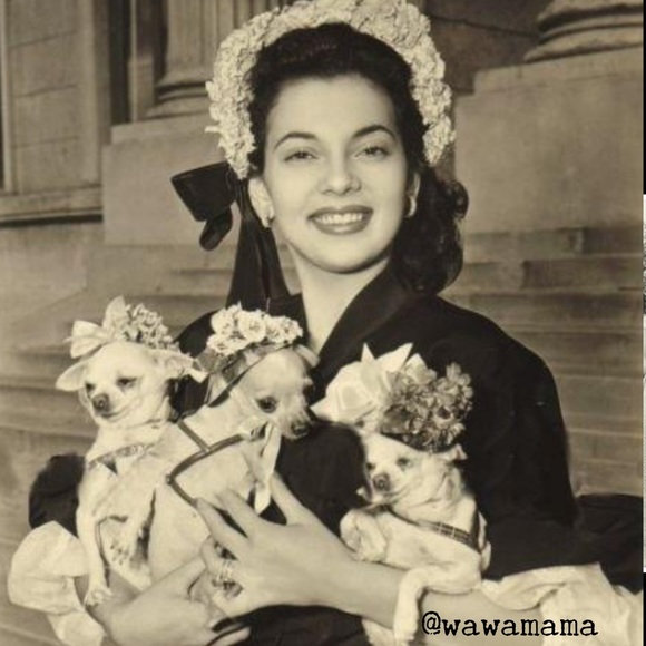 Meet your Posher, Laurel - Picture 3 of 5