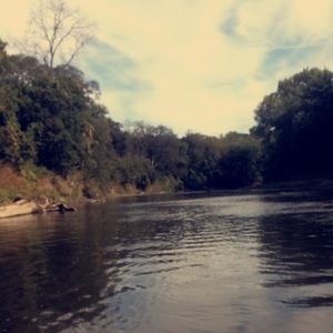 Meet your Posher, Mara