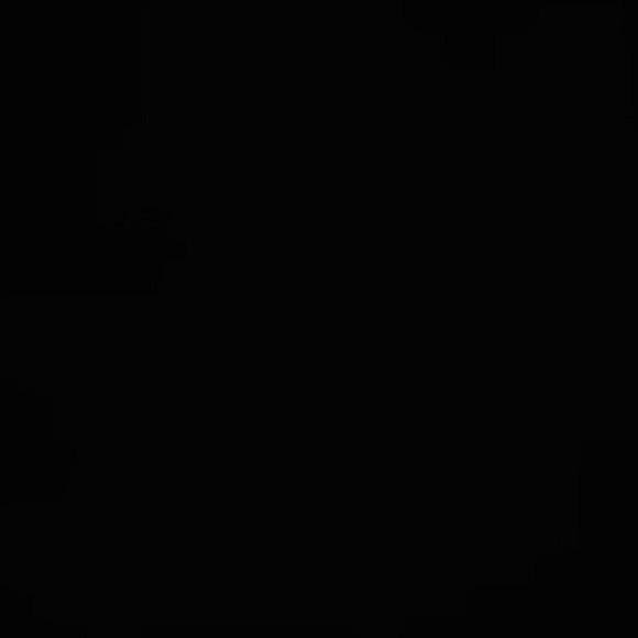 Meet your Posher, Shelly