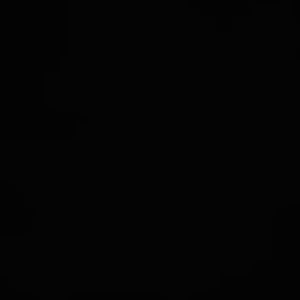 Meet your Posher, Shelly