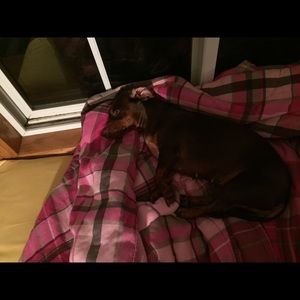 Meet your Posher, Anna