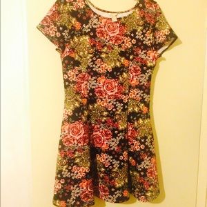 Forever 21 Skater Dress