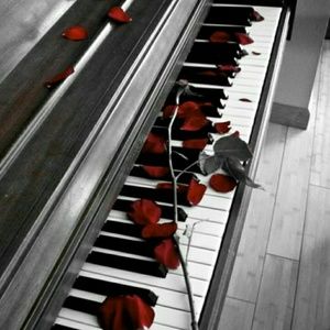 Meet your Posher, Veronica