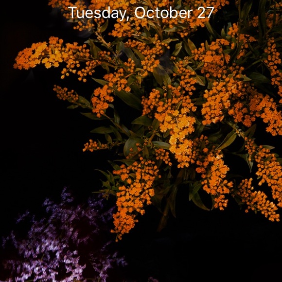 Meet your Posher, Kristi - Picture 1 of 1