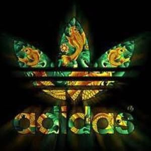 Meet your Posher, Isaiah