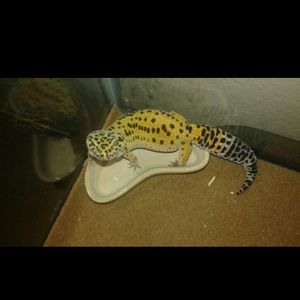 Meet your Posher, Katrina