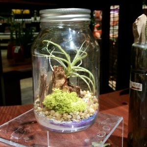 Meet your Posher, Jinha