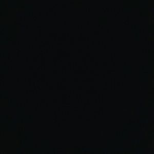 Meet your Posher, Lily