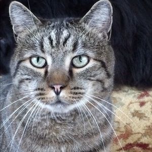 Meet your Posher, Deborah